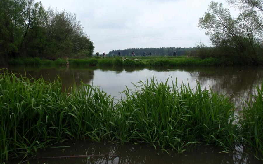 Rowerzyści jadą brzegiem Liswarty