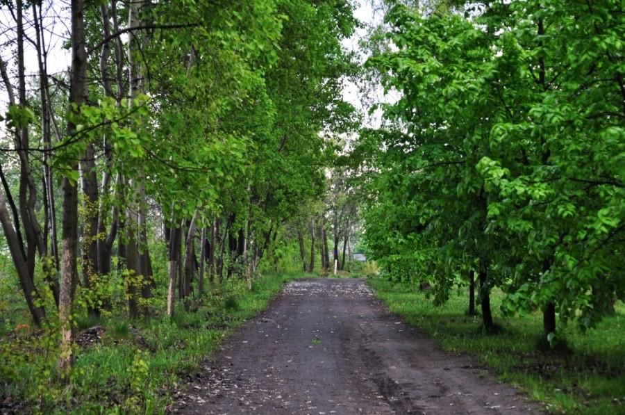Park Środula
