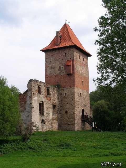 Zamek Chudów