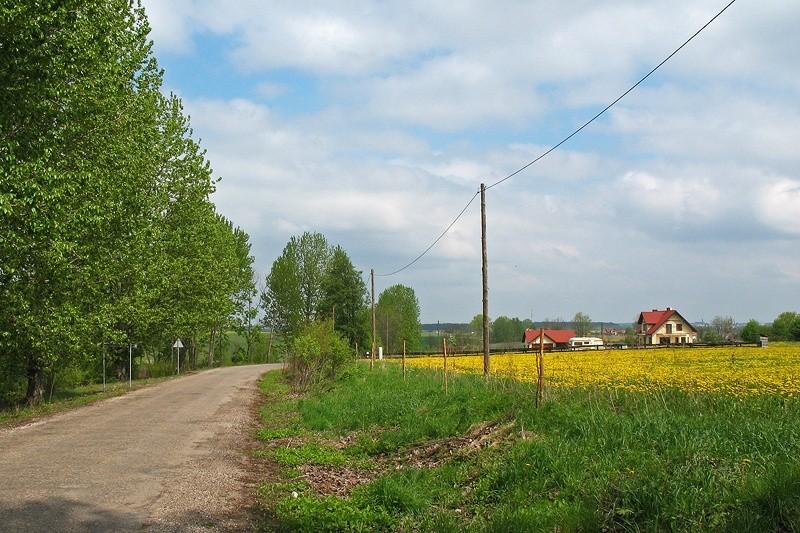 Żółte pola