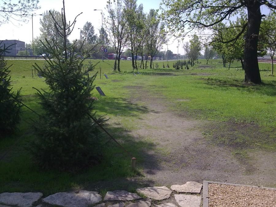 Teren dębów katyńskich.