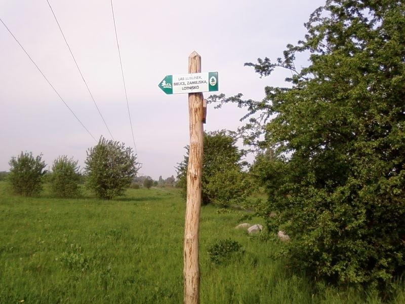 Drogowskaz
