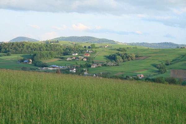 Mogilno