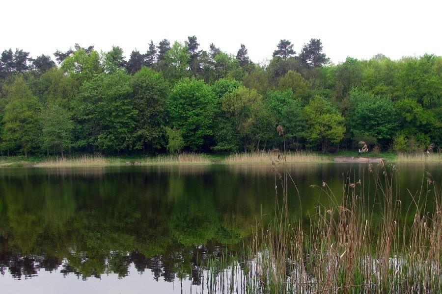 Nad Goplaną w Szczecinie
