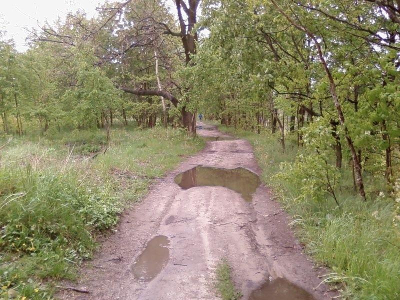 Fajny slalom między kałużami