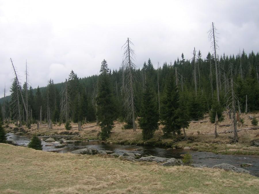 Jakuszyce-Świeradów