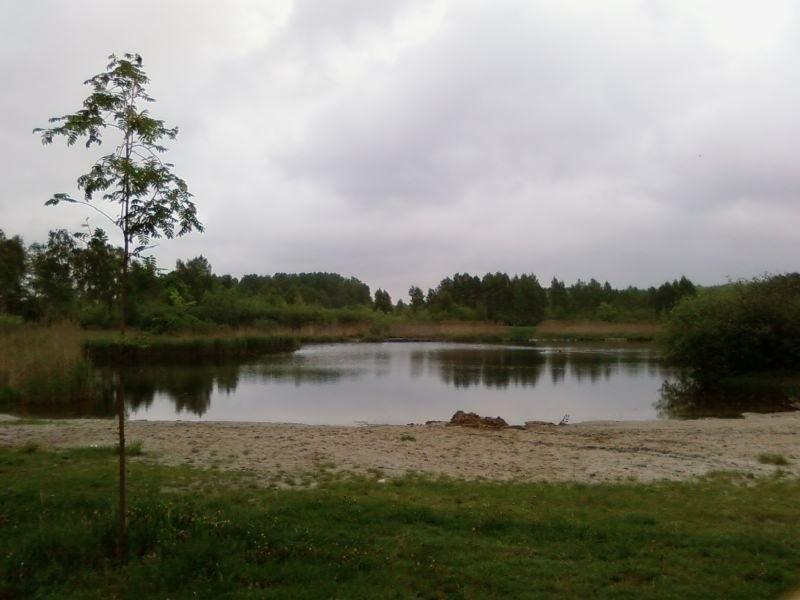 Staw