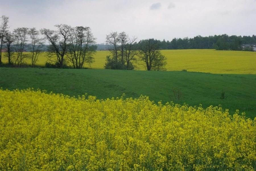 Ładne kolory