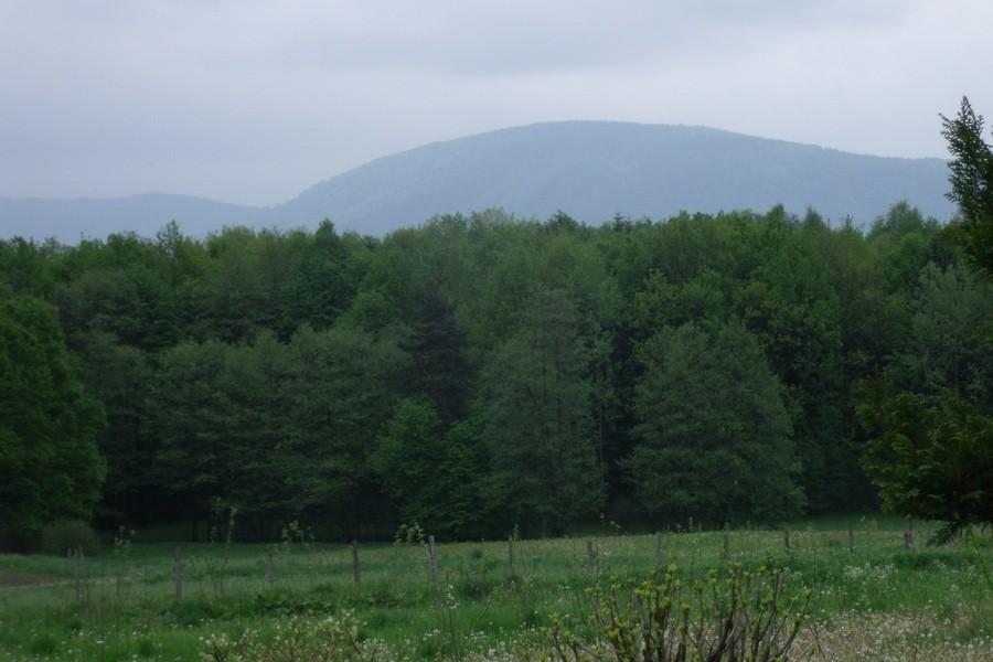 Widać góry