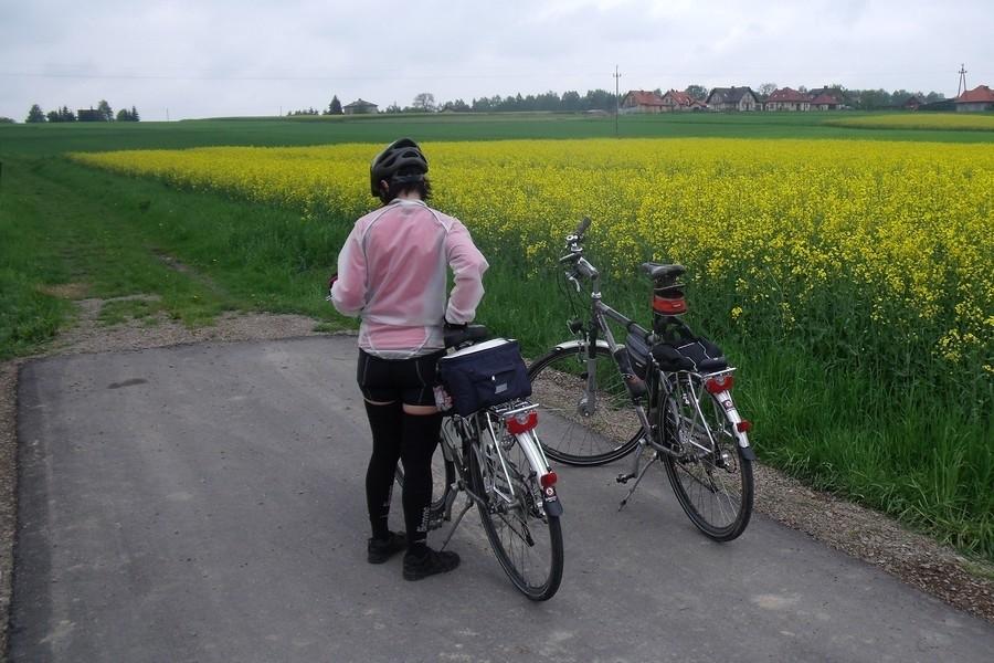 Eli GPS wyprowadził nas w pole