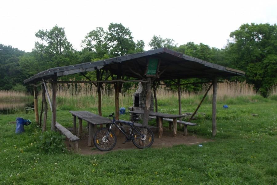 ogniskowa miejscówa