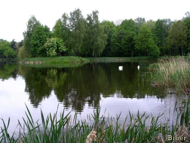 Park w Świerklańcu