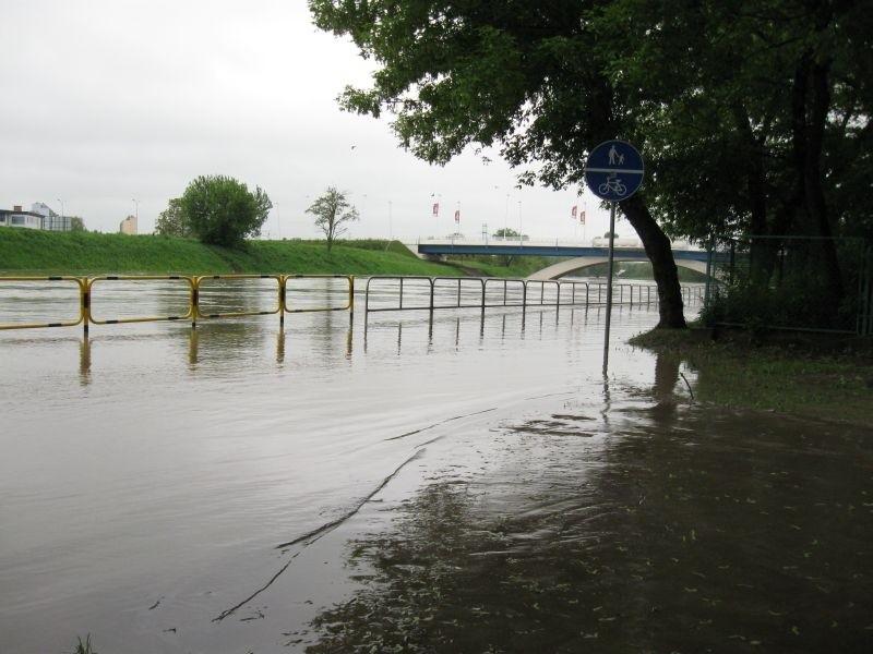 Olszynki, w tle Most Zamkowy.