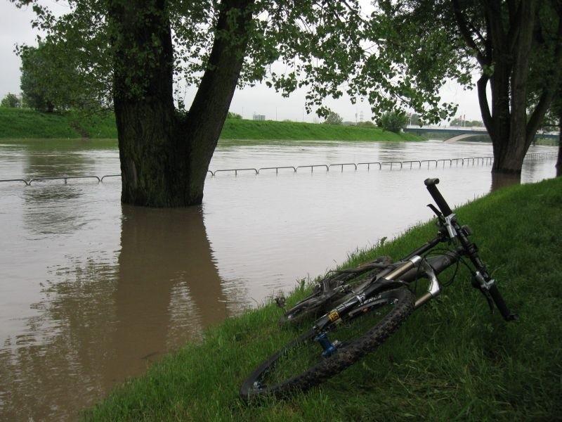 Olszynki.