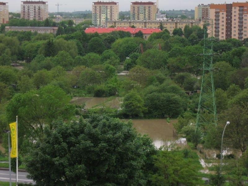 Widok z okna.