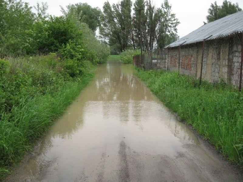Na kładkę w Budziwoju nie dotarłem.