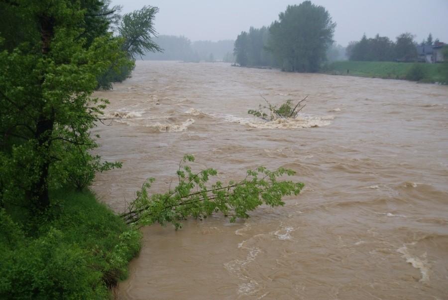 Płynę do Krakowa