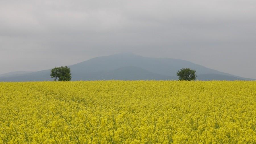 Widok na Ślężę