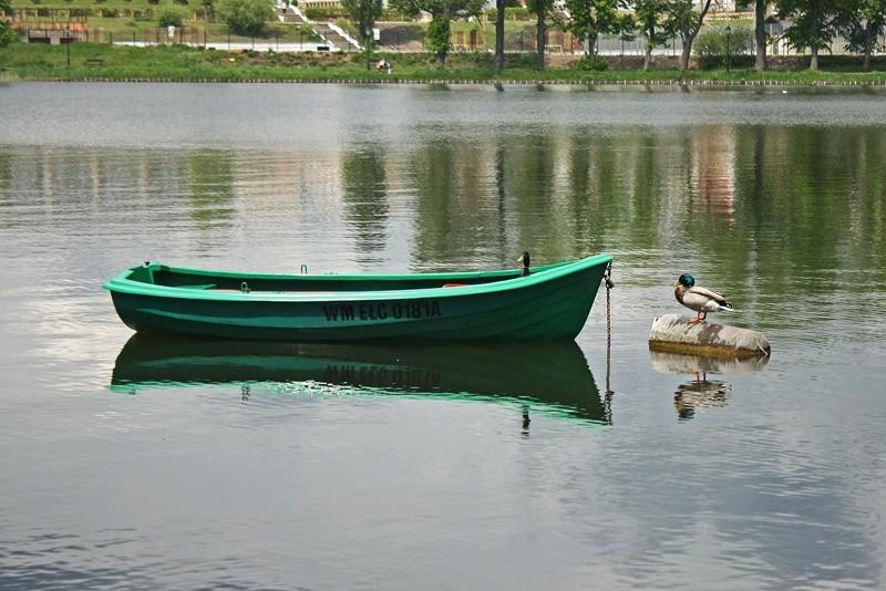 Lokatorki