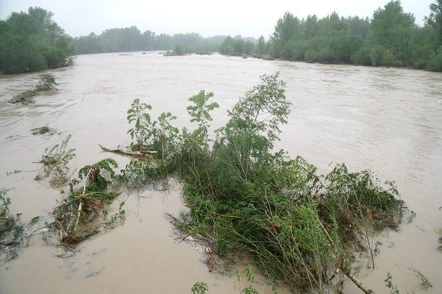 Soła