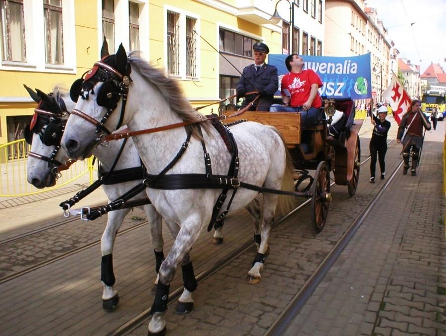 JUWENALIA 2010-NA UL. 1 MAJA