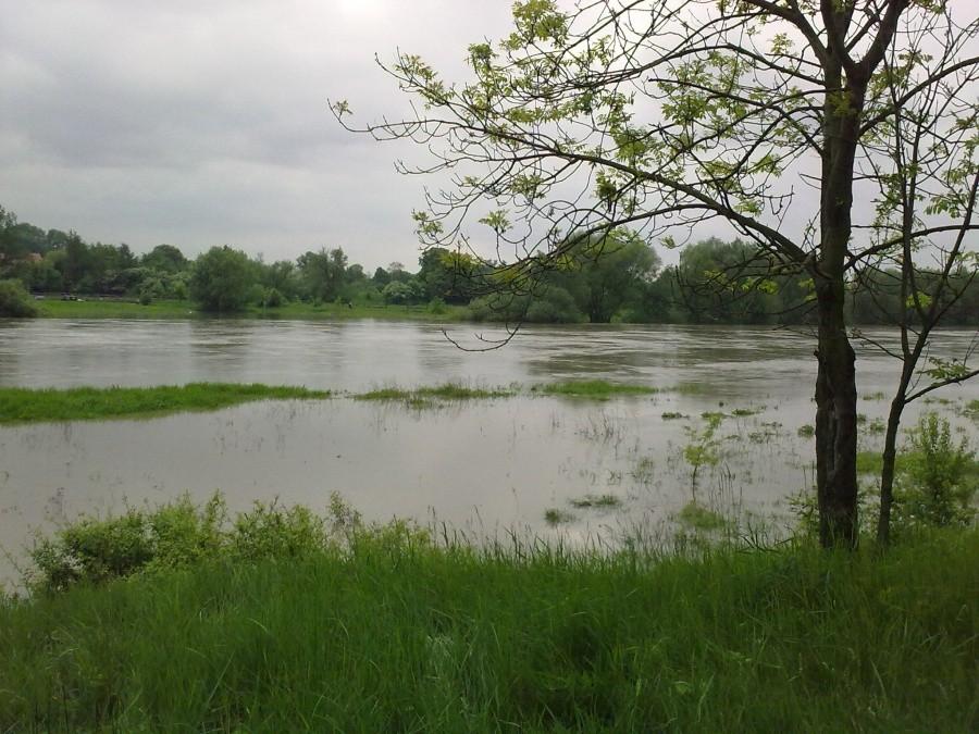 Odra - Rędzin
