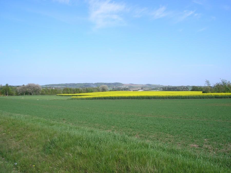 Yding Skovhøj - wzniesienie z najwyżej położonym n. p.m punktem w Danii - 173 m n.p.m.