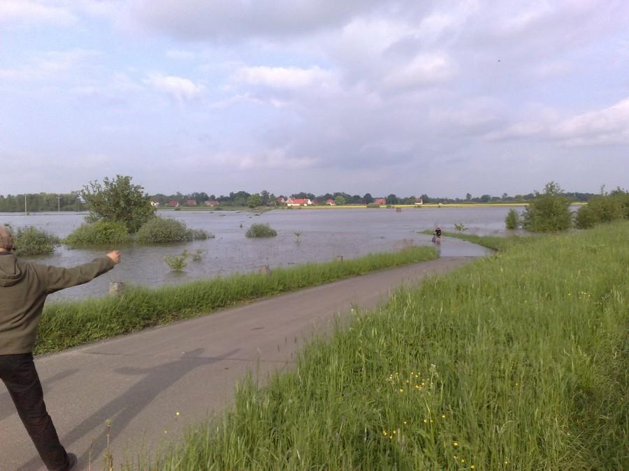 zalewany polder