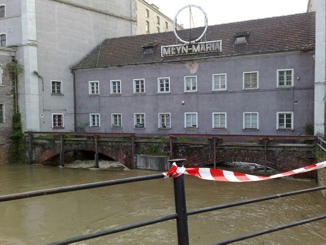 młyn maria