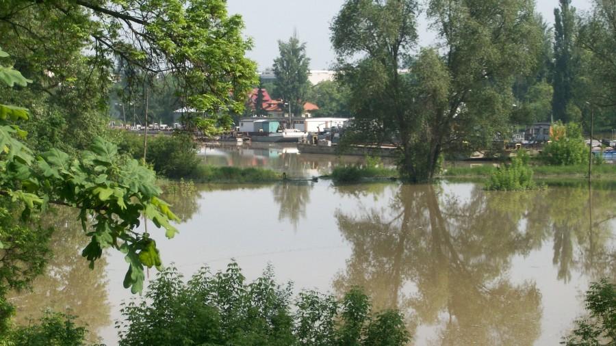 Puławski port