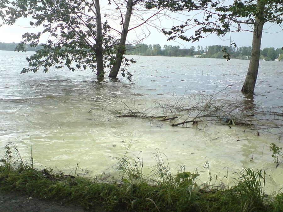 Jezioro Przeczyckie 2010.05.22