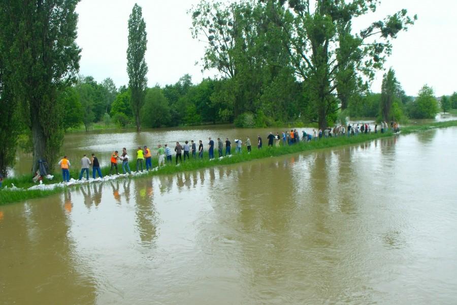 Pomagają wszyscy