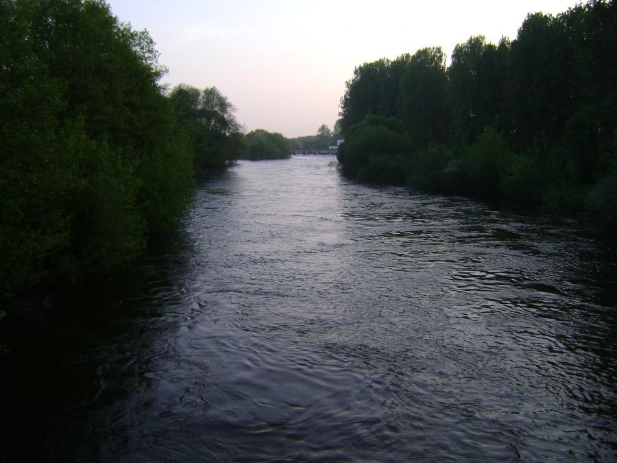 Widok na Pilicę z mostu na Brzustówce