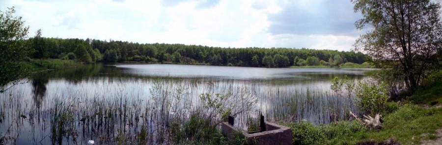 Staw w Baniosze