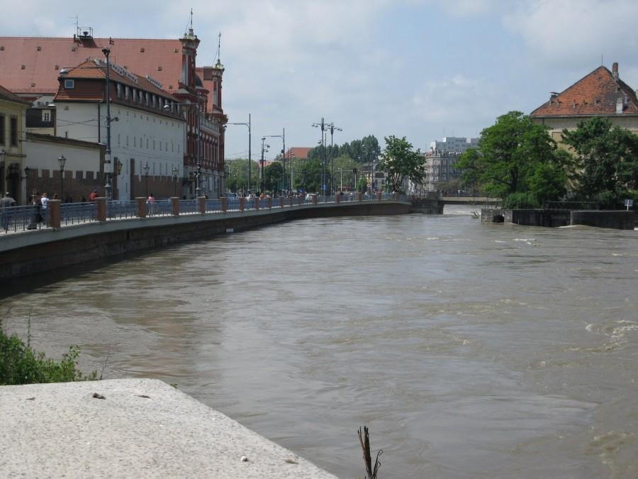 wyspa tamka