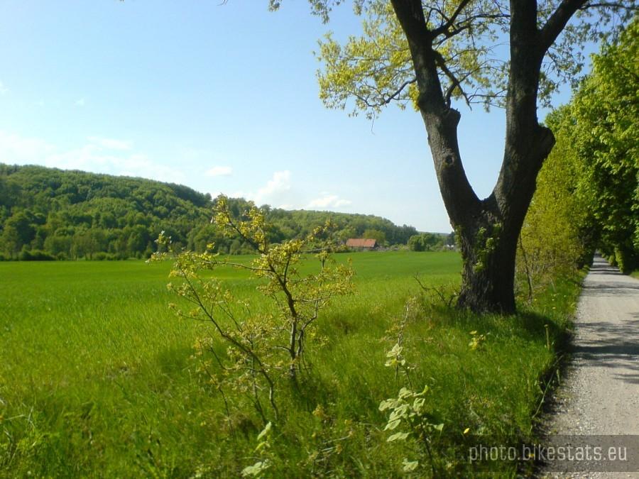 Na drodze z Czerńca do Zaskoczyna