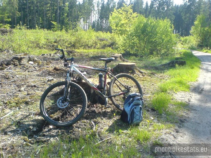 Podczas odpoczynku w lesie