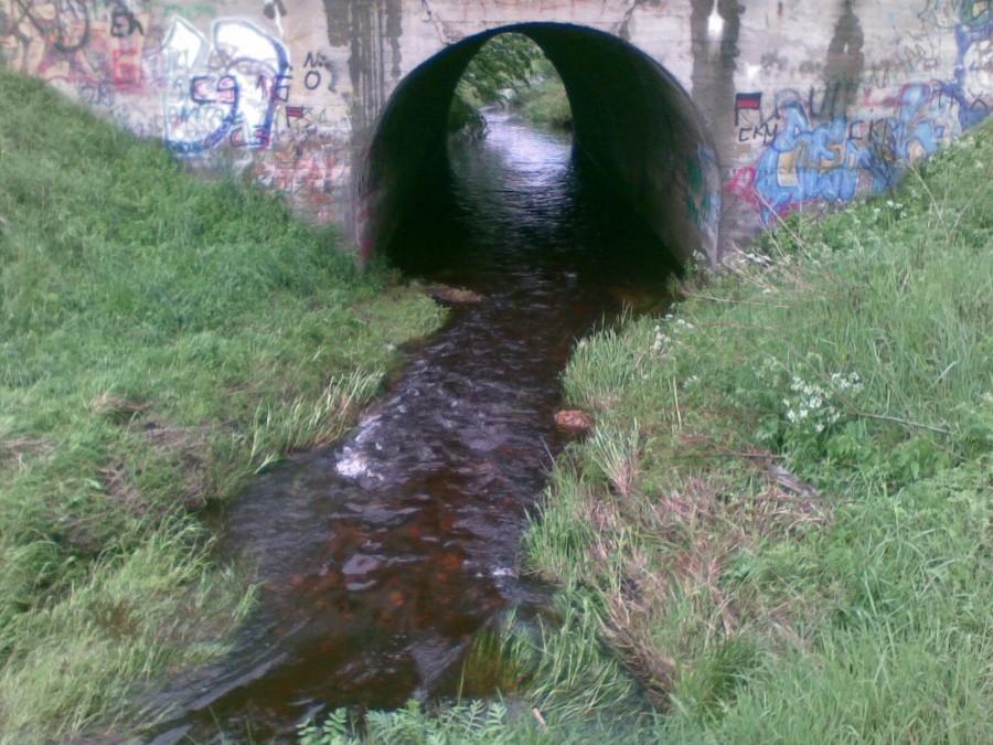 Wzburzony nurt Trzepizurki