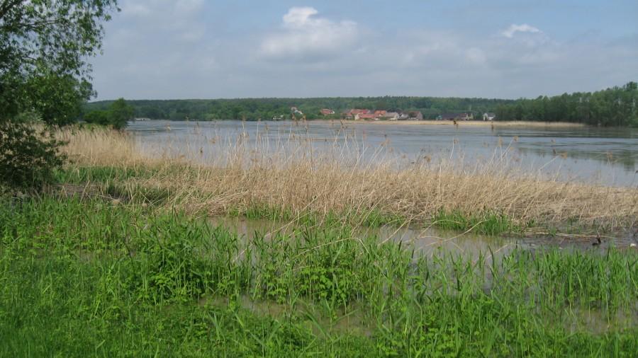 Odra - Księginice wido w strone Wałów