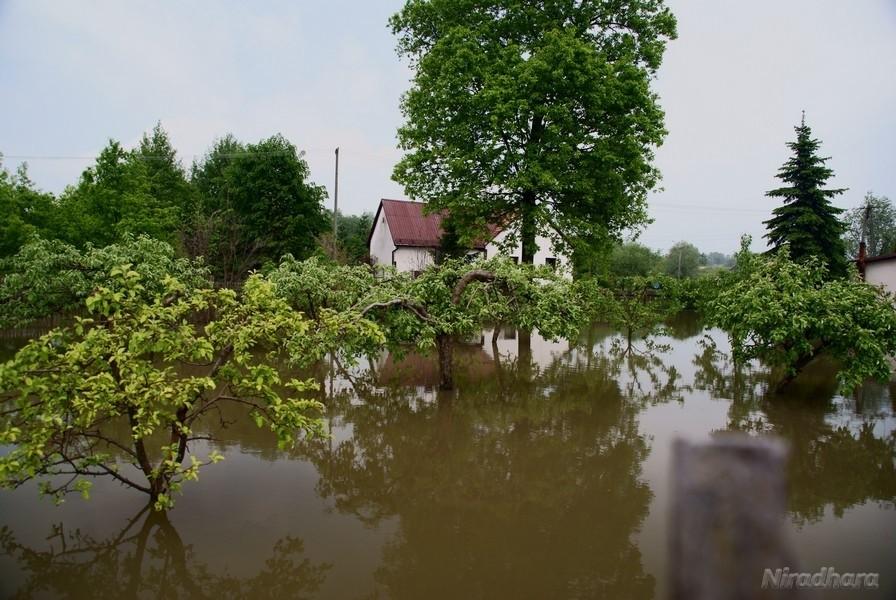 brak słów