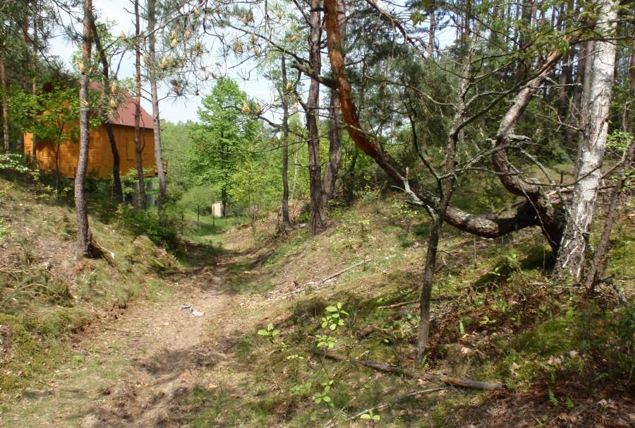 Domek na palach w pobliżu Liswarty