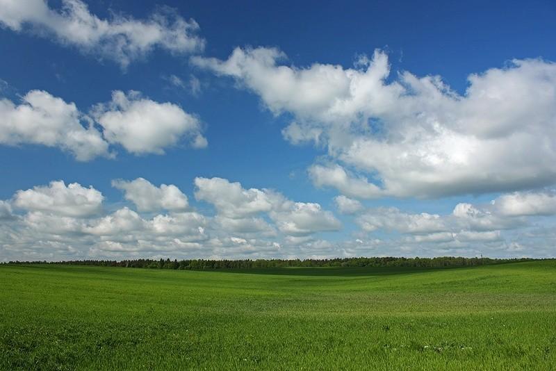 Windows ;-)