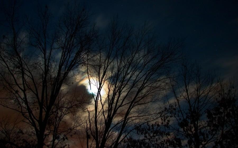 Nocne niebo