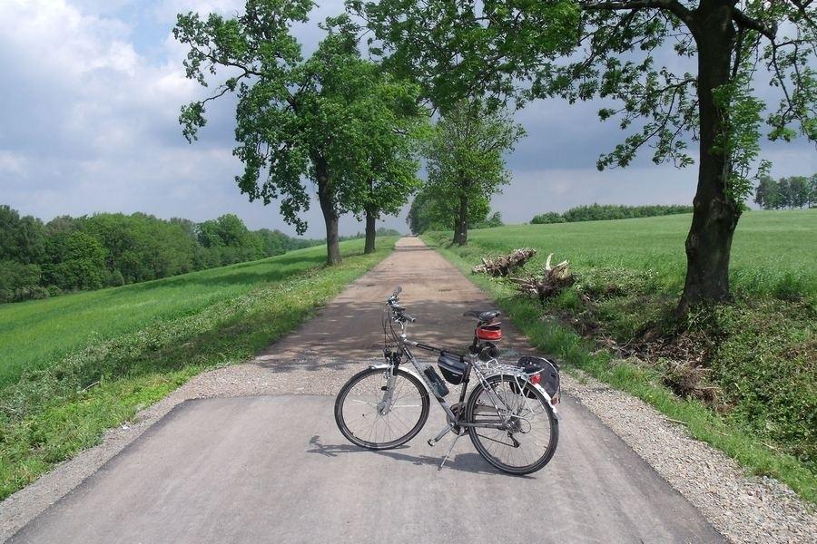 Nowy asfalt na ścieżce rowerowej do Osieka