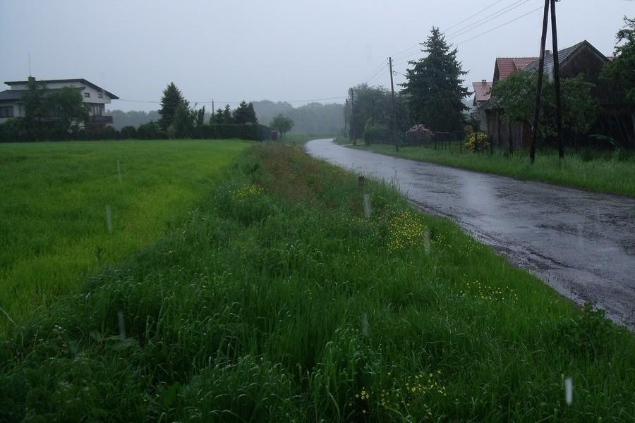 Leje