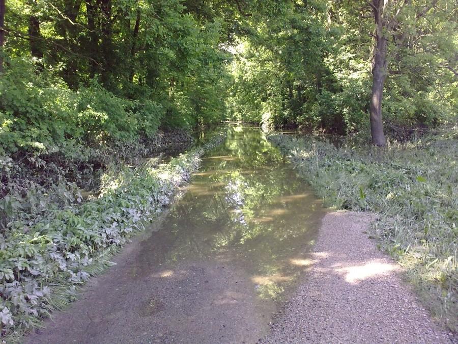 Zalana droga przy wale nad Widawą.