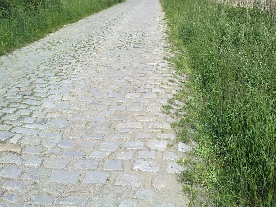Najbardziej wyboista kostka jaką jechałem.