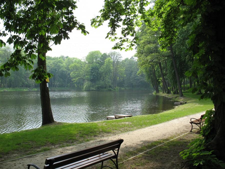 Młochów - staw z wyspą