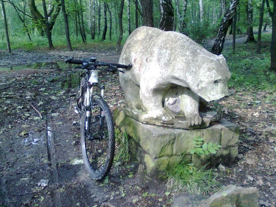 Niedźwiadek