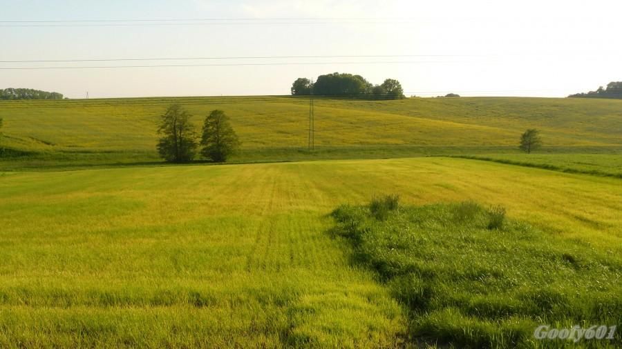 Widok na pola